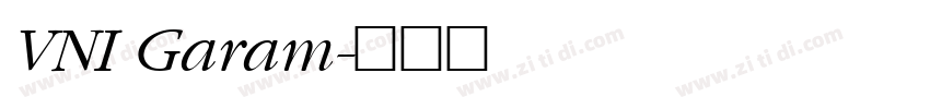 VNI Garam字体转换